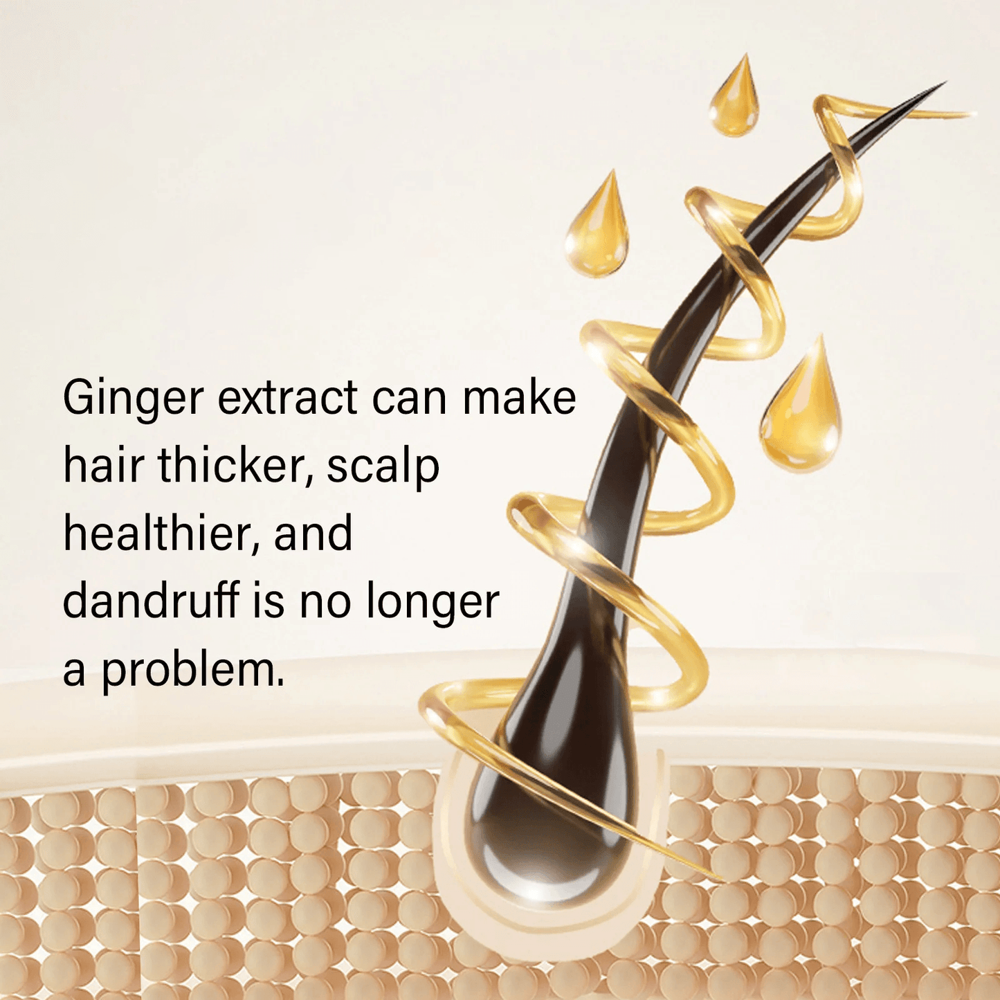 Gingerra™️Ginger Anti-Hair Loss Shampoo (Pack of 3)