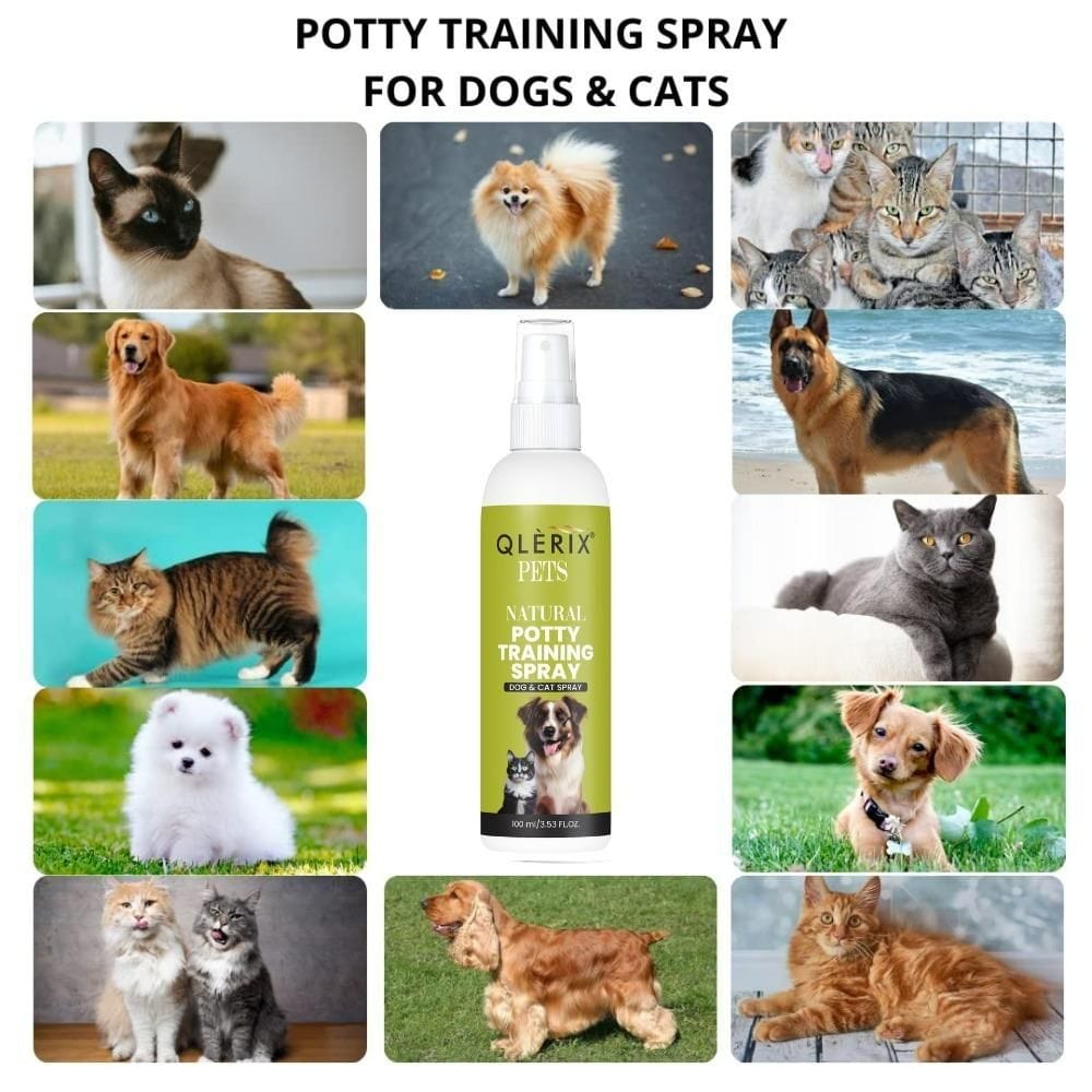 Pet Potty Training Spray (Pack of 2)