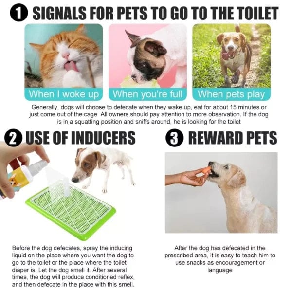 Pet Potty Training Spray (Pack of 2)