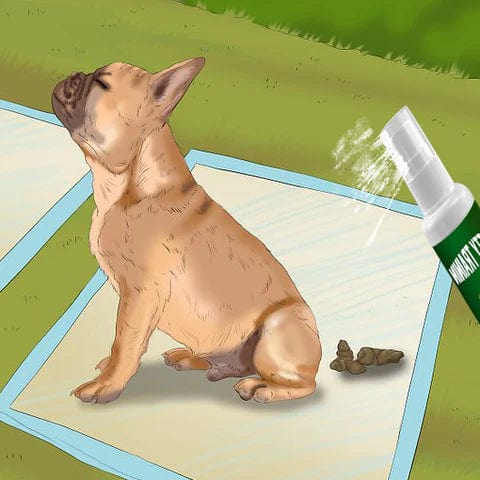 Pet Potty Training Spray (Pack of 2)