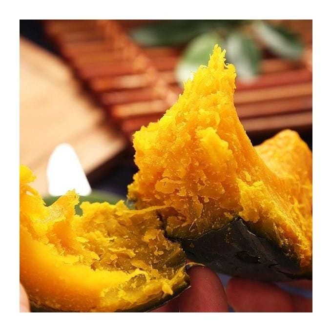 Organic Green Beibei Pumpkin Seeds (Pack of 20 Seeds)