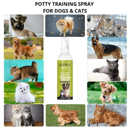 Pet Potty Training Spray (Pack of 2)