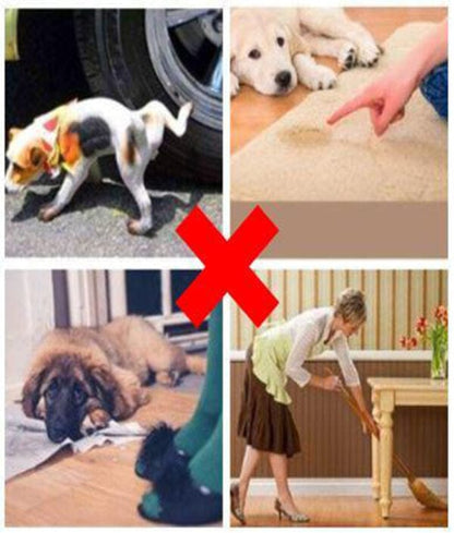 Pet Potty Training Spray (Pack of 2)